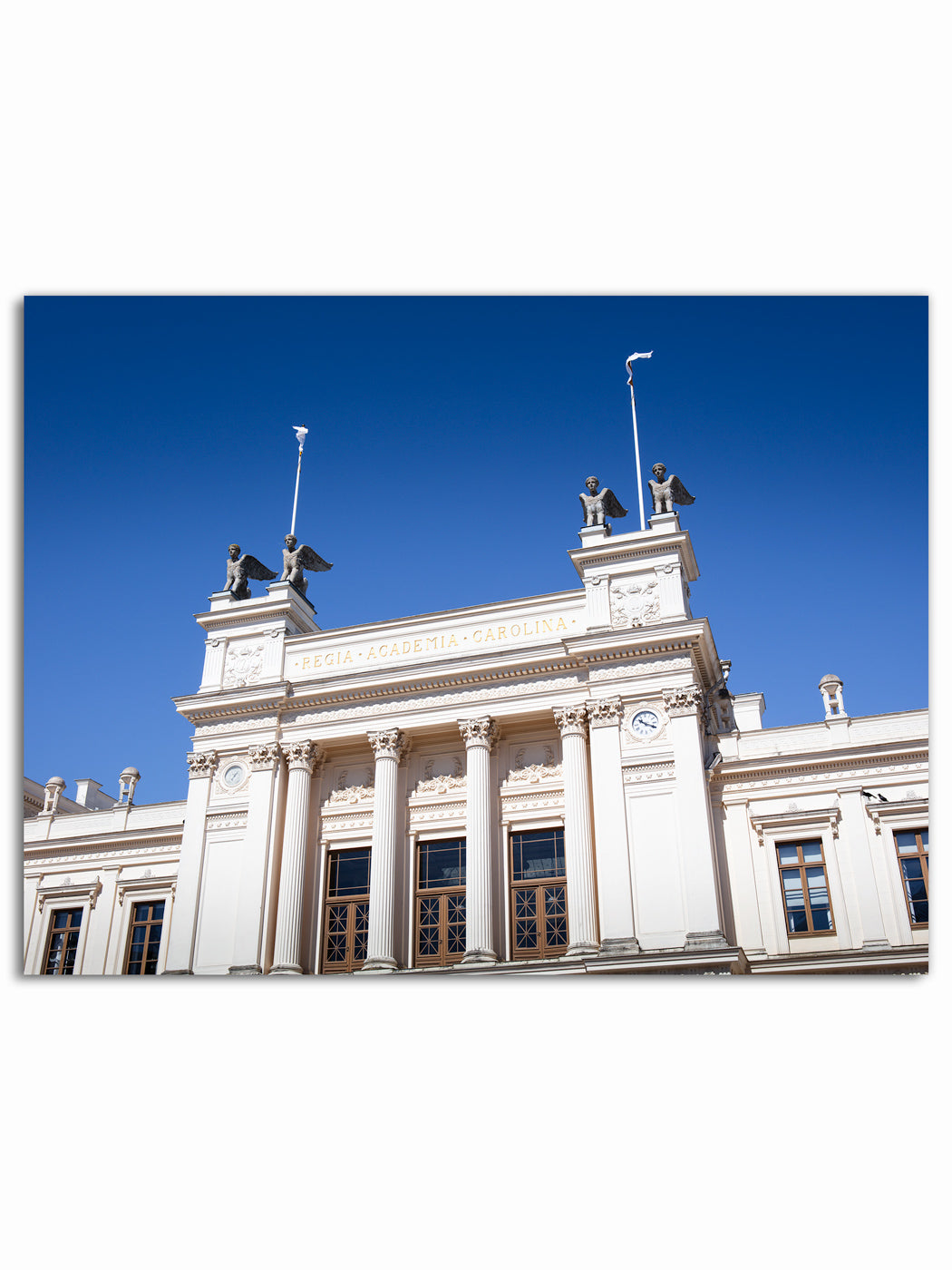Universitetshuset