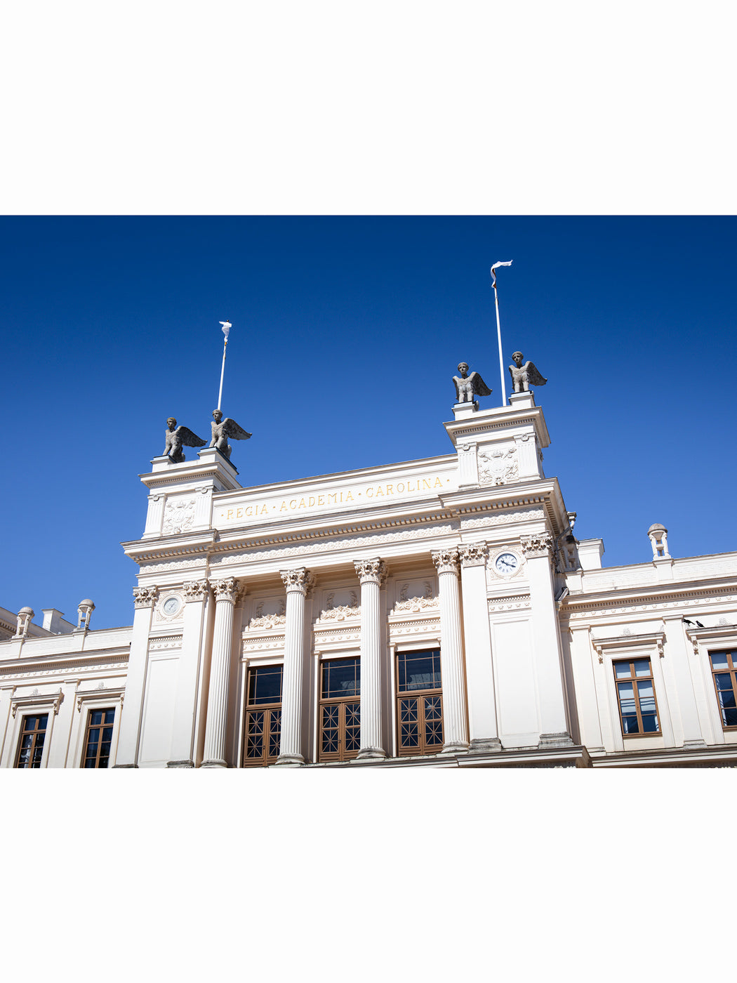 Universitetshuset