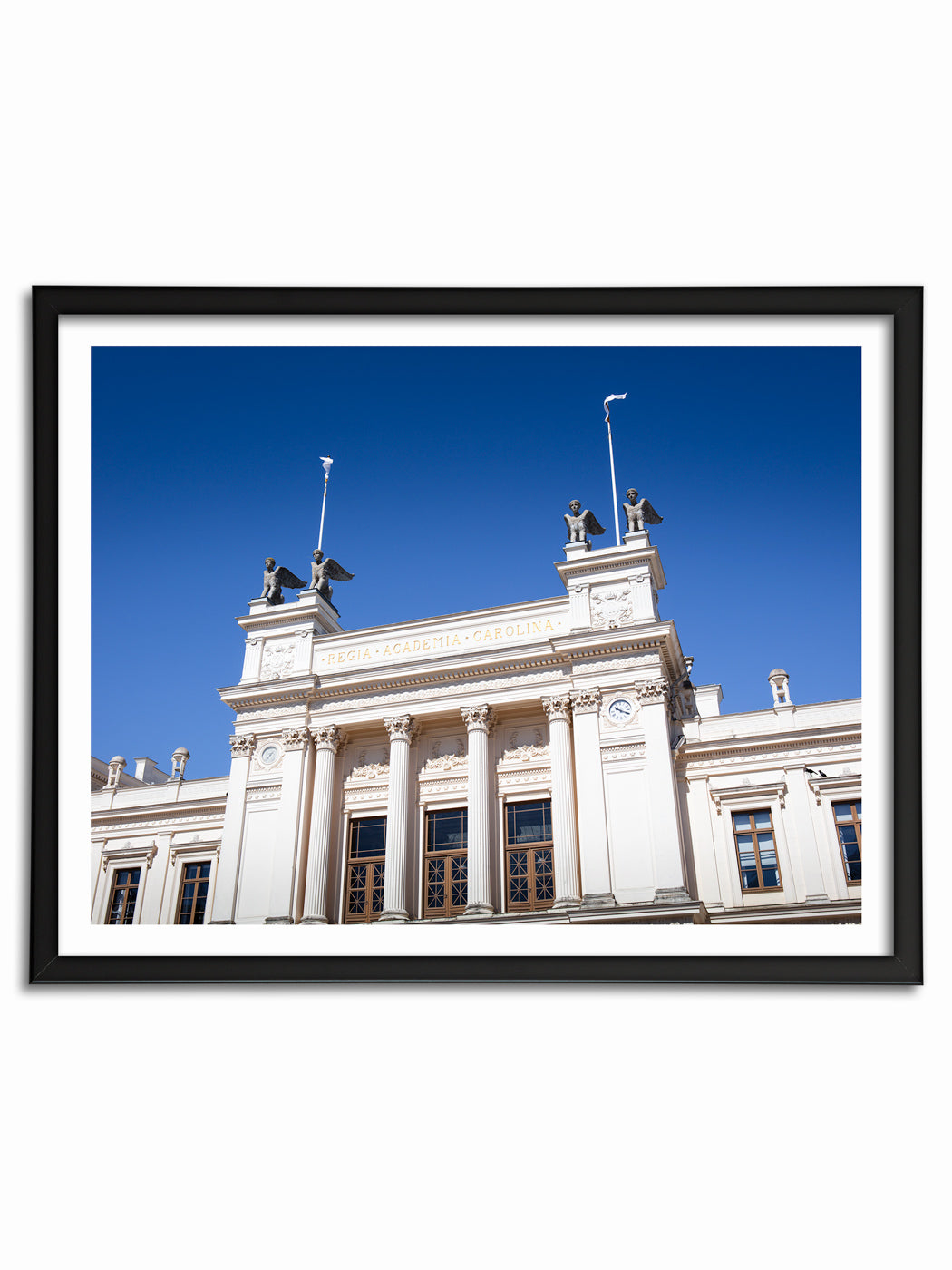 Universitetshuset