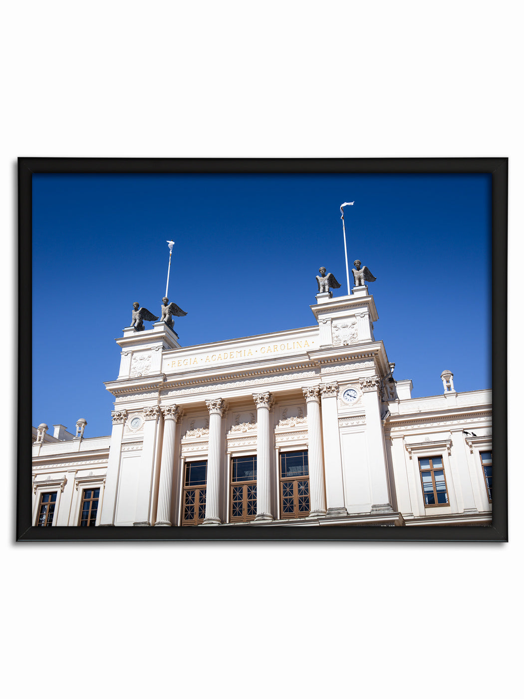 Universitetshuset